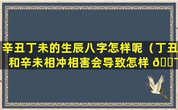 辛丑丁未的生辰八字怎样呢（丁丑和辛未相冲相害会导致怎样 🐯 ）